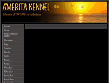 Tablet Screenshot of amerita.se